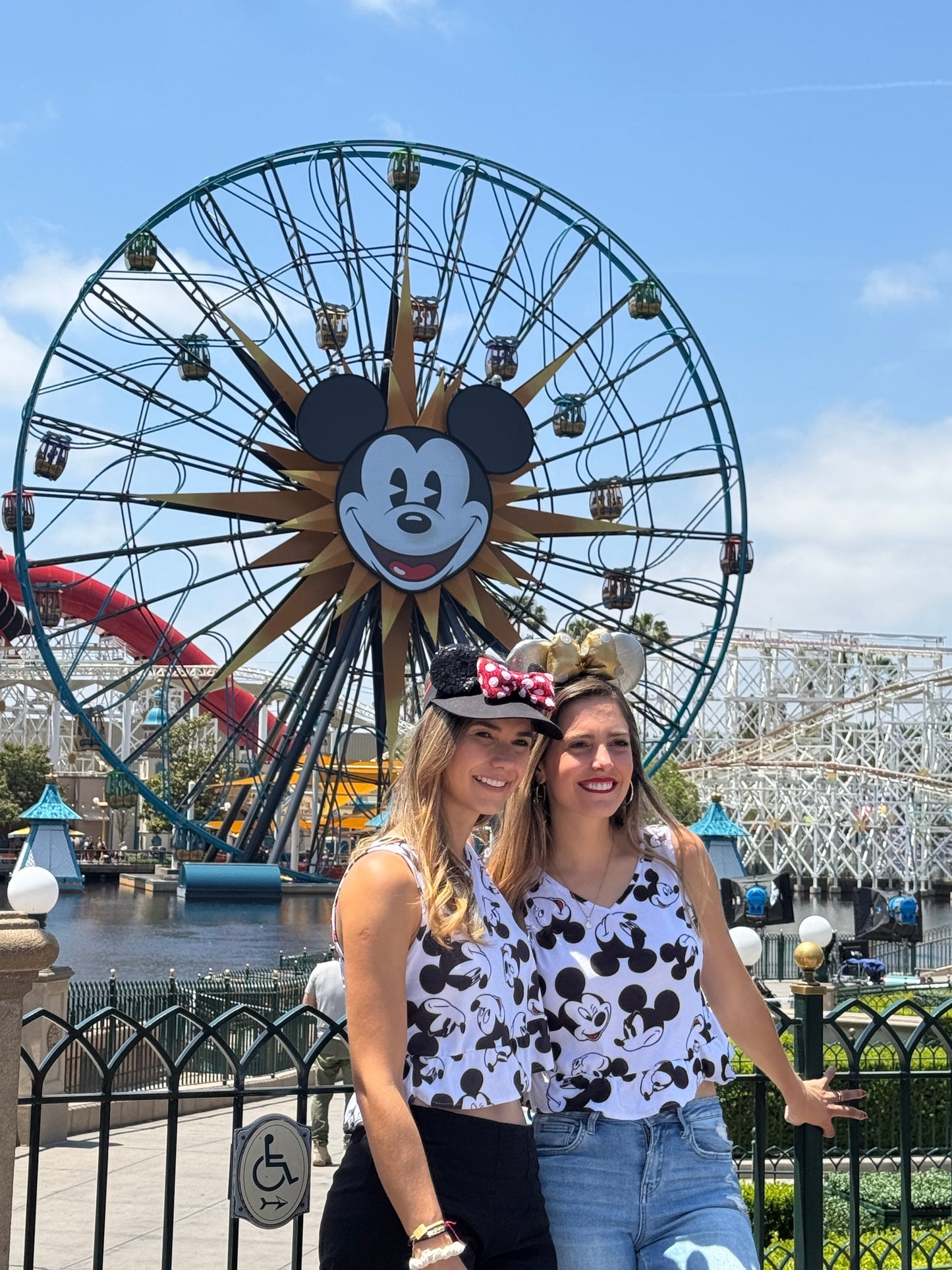 Matching familia mickeys